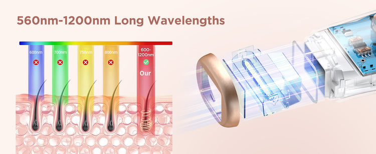 IPL Hair Removal Safe Permanent Painless Epilator Face Body Arms Leg Whole Body Treatment For Men Women Home Use by Home for Health and Beauty