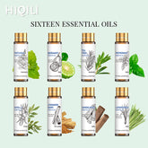16 Piece Essential Oils Set Lavender Eucalyptus Jasmine and More by Home for Health and Beauty