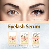 Eelhoe Eyelash Enhancing Serum Nourishing Natural Lengthening Lashes by Home for Health and Beauty