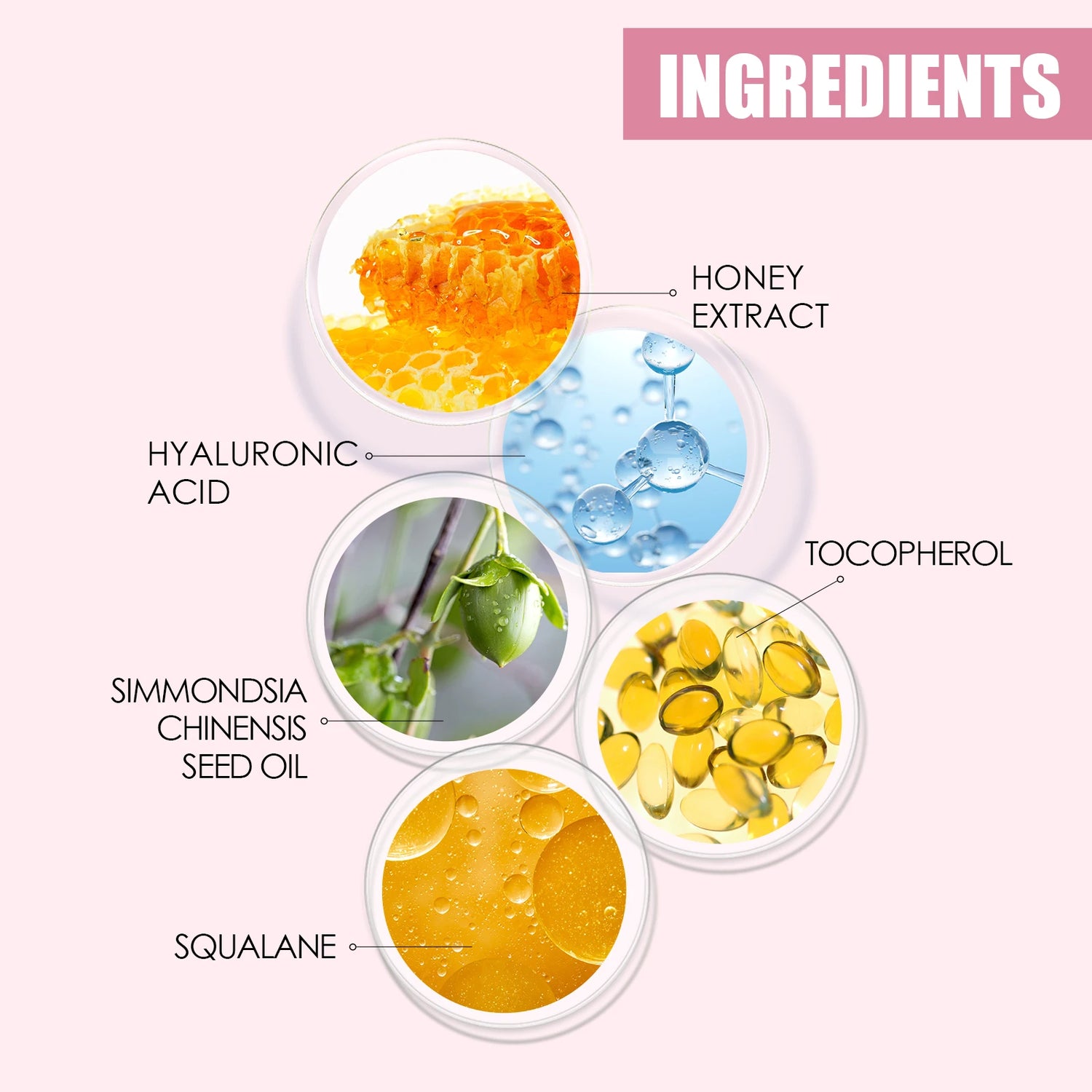 Honey VE Lip Balm Natural Long Lasting Moisturizing Sexy Plumping Lips Smoothing Anti-Cracking Healthy Makeup Lip Care by Home for Health and Beauty