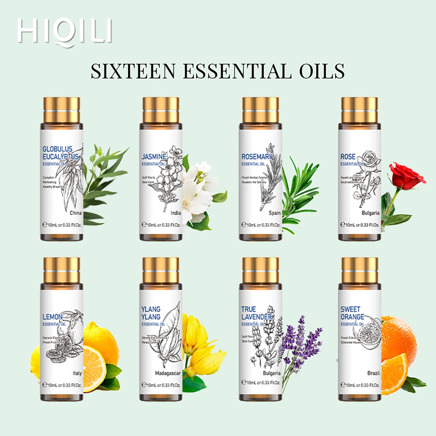 16 Piece Essential Oils Set Lavender Eucalyptus Jasmine and More by Home for Health and Beauty