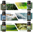 Fragrance Oils Set Nature Theme For Aromatherapy Diffusers by Home for Health and Beauty
