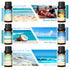 Gold Coast Six Fragrance Oils Gift Set for Aromatherapy by Home for Health and Beauty