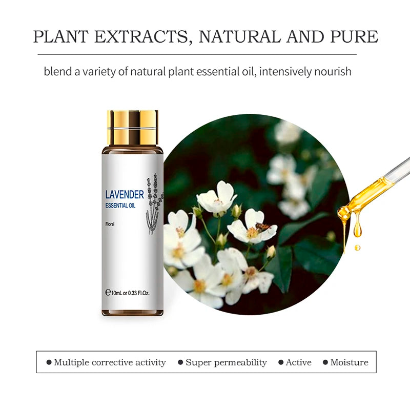 16 Piece Essential Oils Set Lavender Eucalyptus Jasmine and More