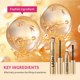Lash & Brow Set Eyebrow Eyelash Growth Serum Peptide Mascara Eyelash Eyebrow Longer Fuller Thicker Curling Lash Eye Care Makeup by Home for Health and Beauty