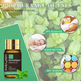 Essential Oils Set For Humidifier Diffuser Air Freshener by Home for Health and Beauty