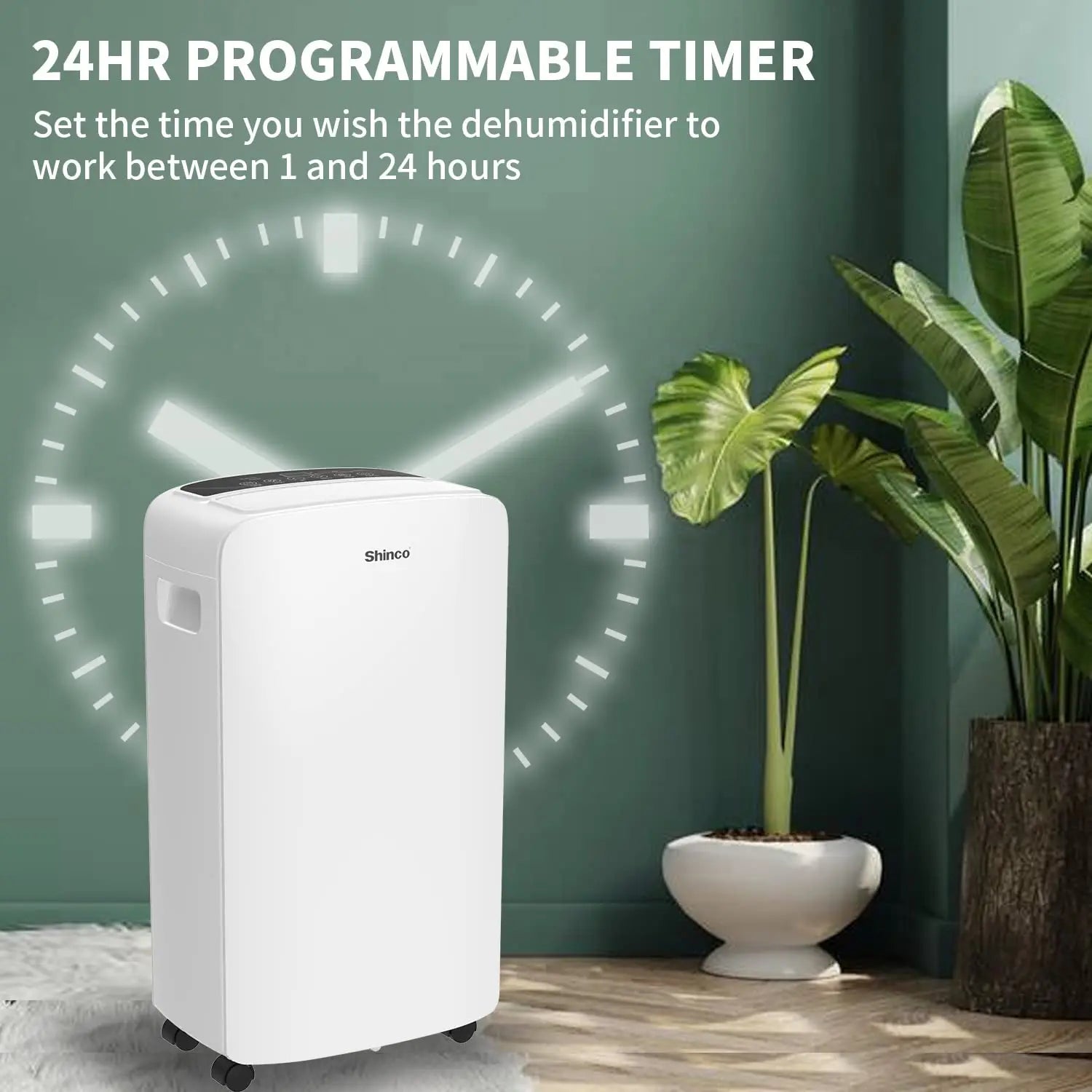 Dehumidifier For Basements And Living Areas by Home for Health and Beauty