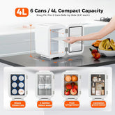 Mini Fridge, 4 Liter/6 Cans Portable Cooler and Warmer, AC/DC Power Small Fridge by Home for Health and Beauty