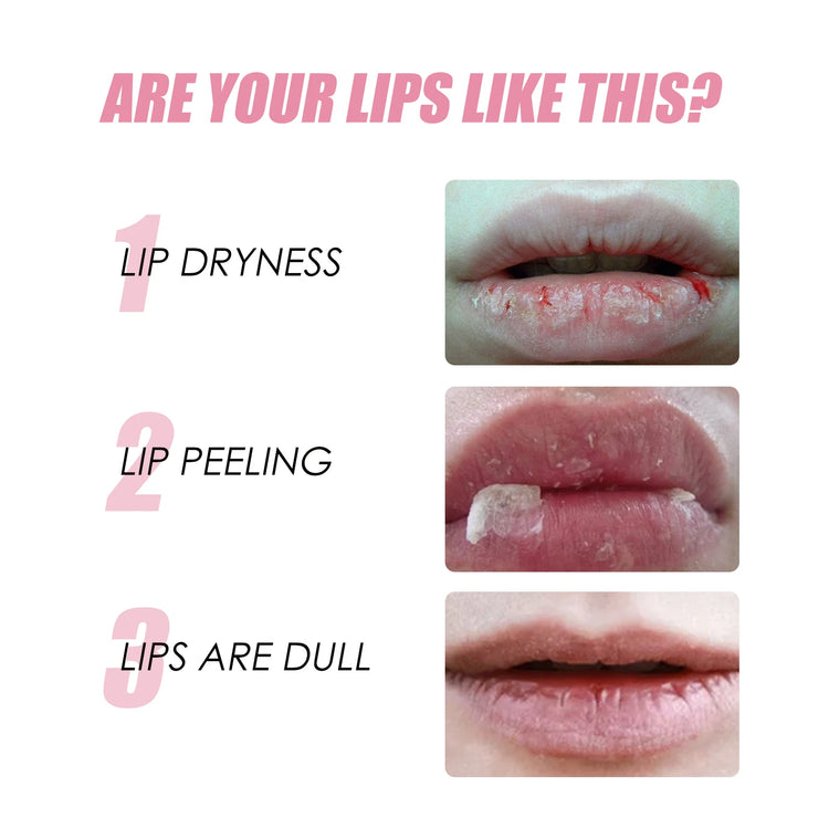 Honey VE Lip Balm Natural Long Lasting Moisturizing Sexy Plumping Lips Smoothing Anti-Cracking Healthy Makeup Lip Care by Home for Health and Beauty