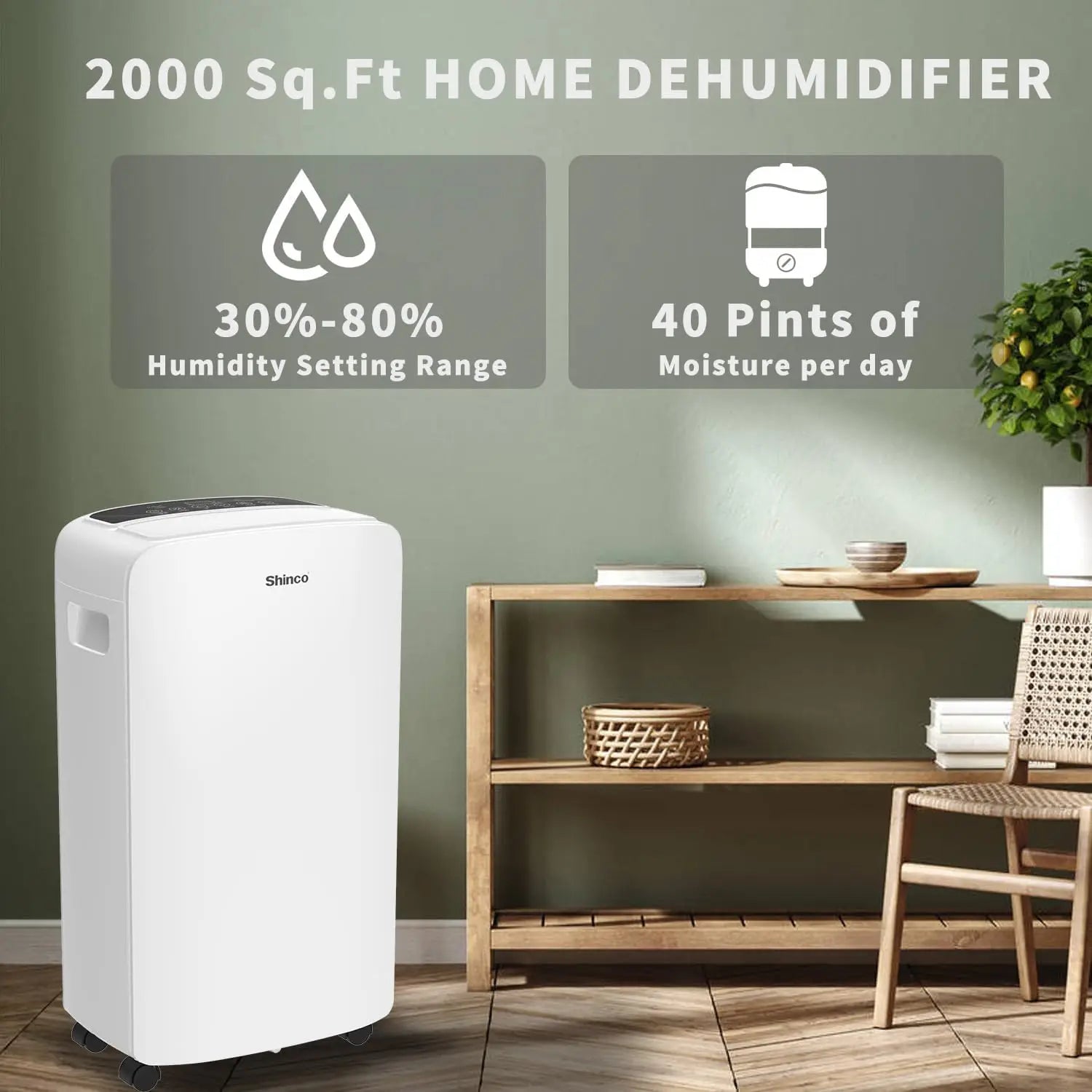 Dehumidifier For Basements And Living Areas by Home for Health and Beauty