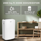 Dehumidifier For Basements And Living Areas by Home for Health and Beauty
